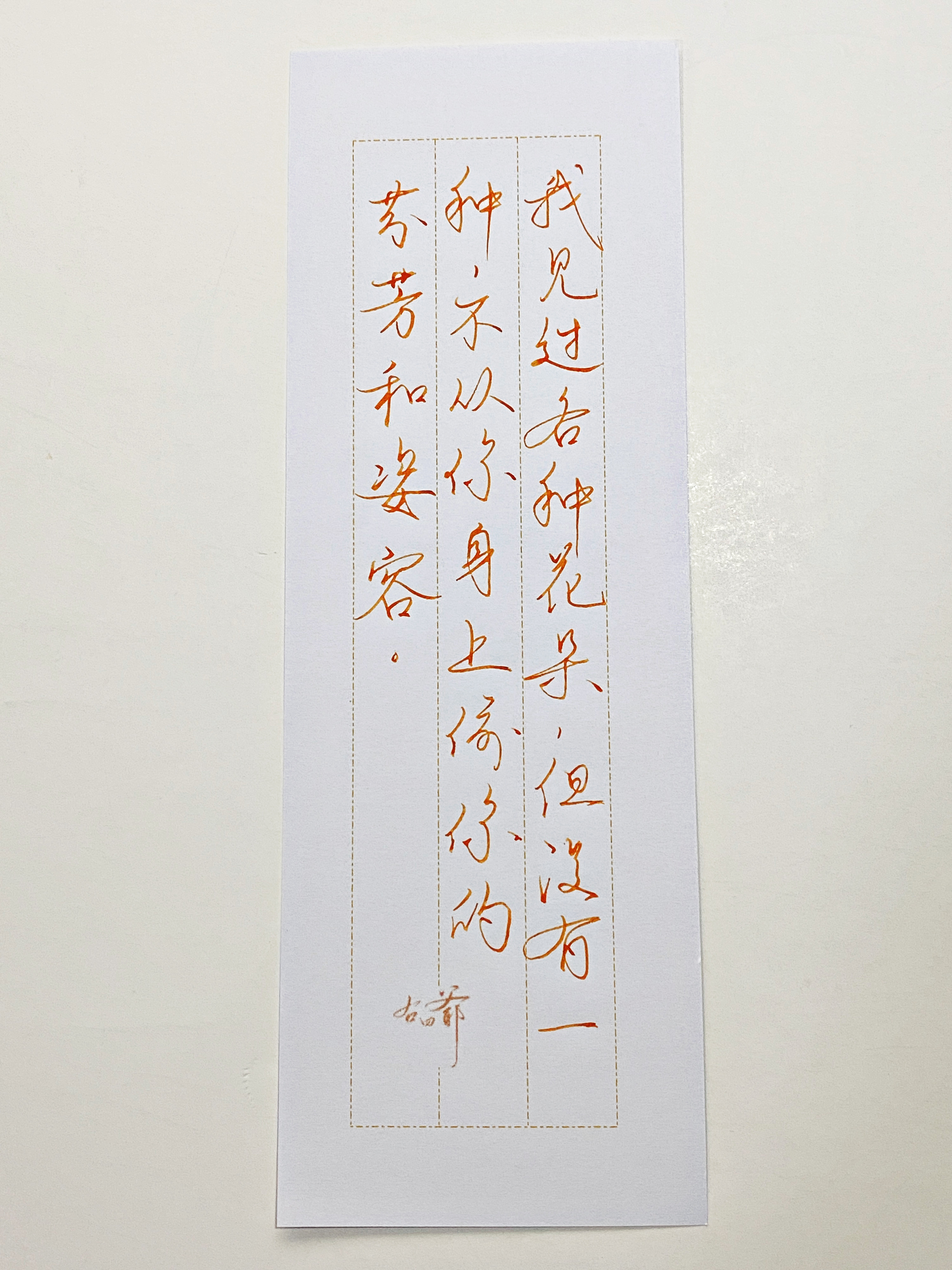 练字  我见过各种花朵 