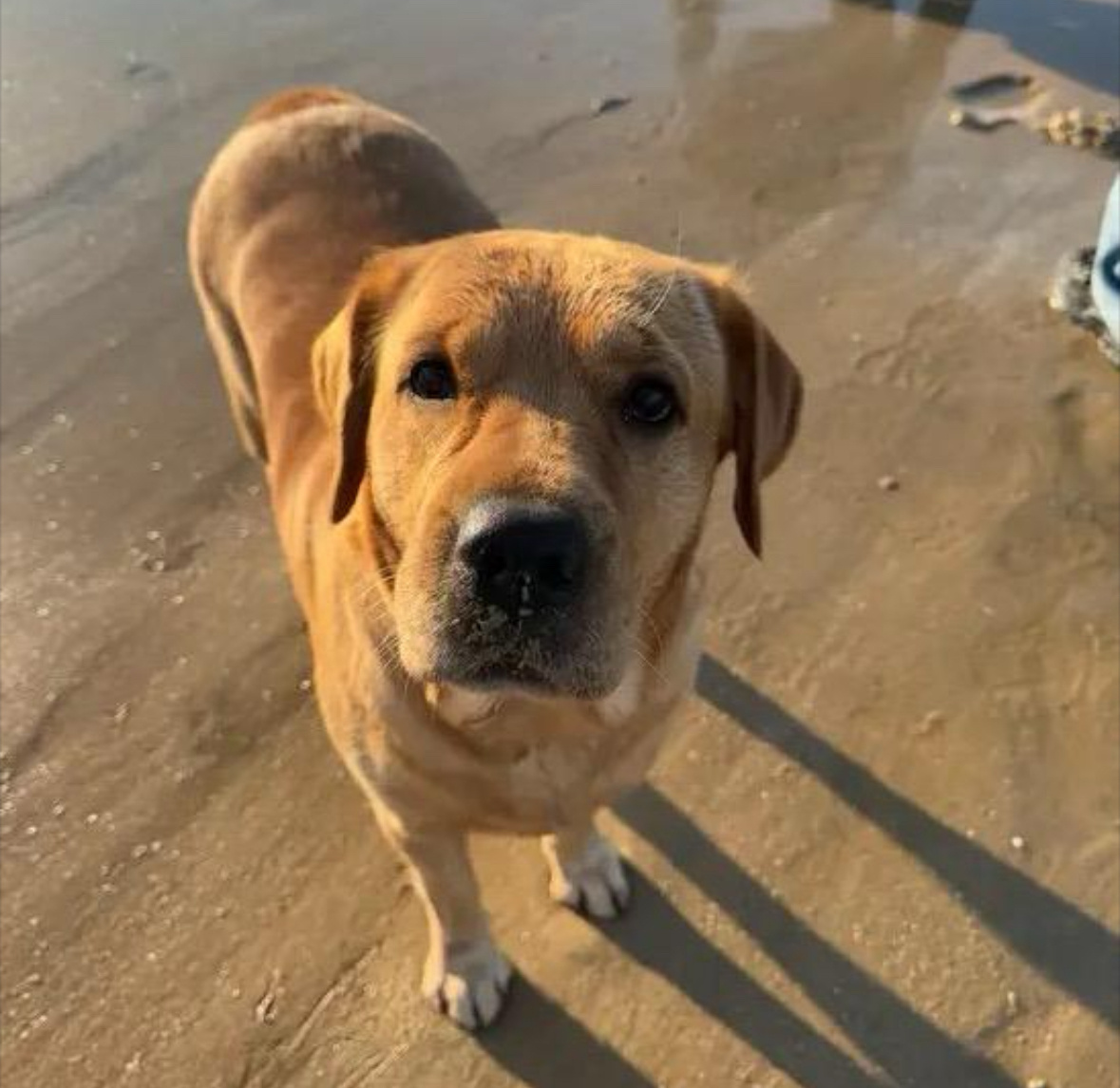 一周年快乐～ 啵崽健健康康，岩岩和姐姐发大财💰 