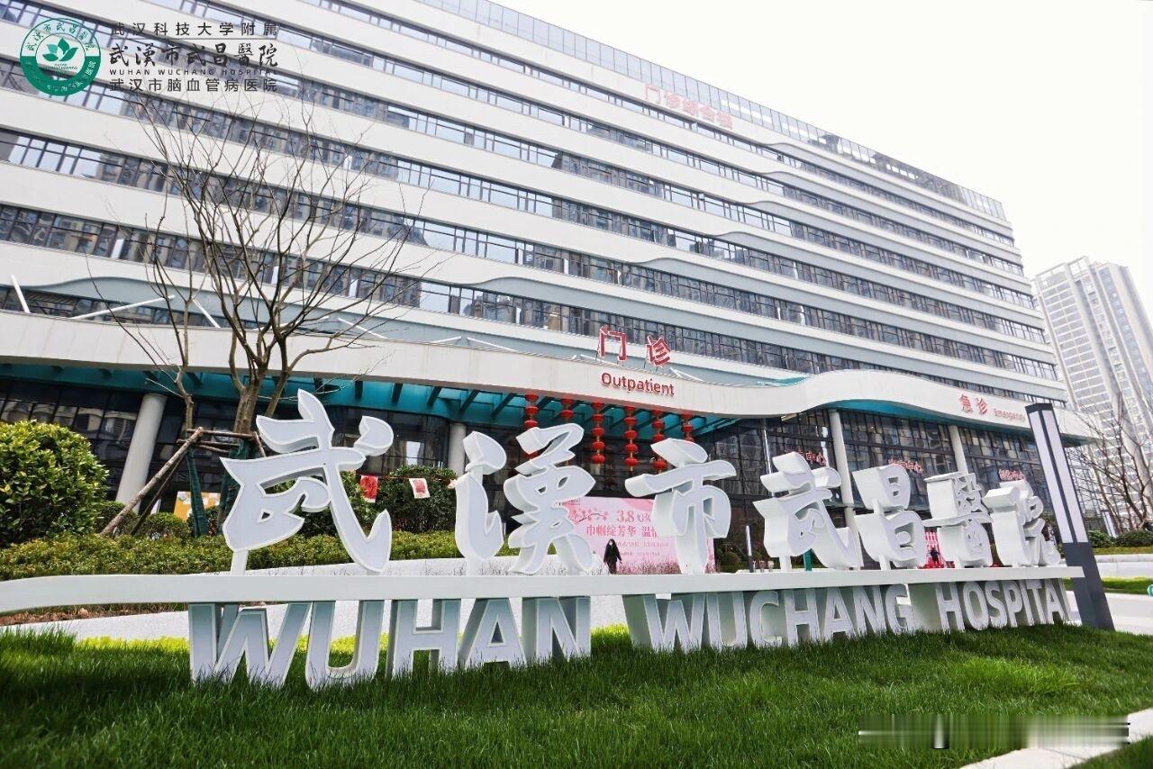 武汉市武昌医院东区新门诊综合楼全面投入使用。
新大楼总建筑面积11.86万平方米