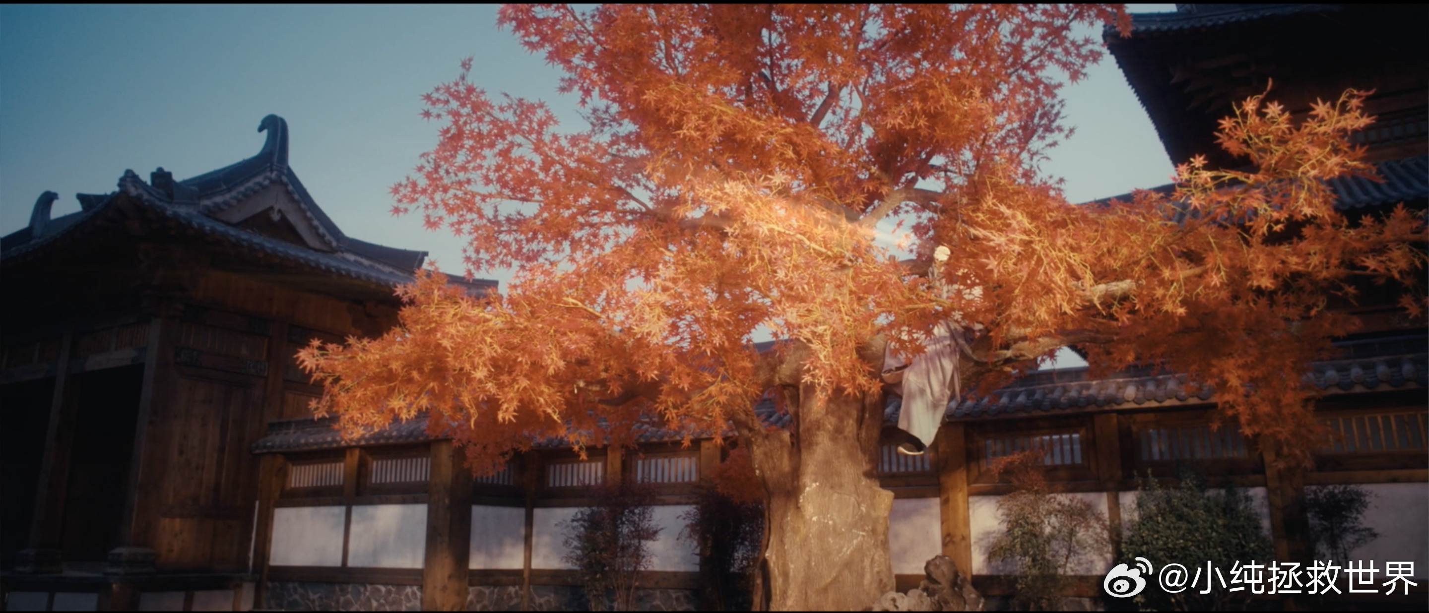 严屹宽 别让老霸总演这些 这就是一部正常水准的作品，拍摄与妆造都很用心，真的没必