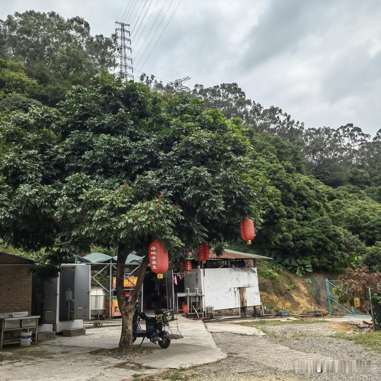 假期第二天，还是出了一趟远门，东莞大岭山森林公园，农家乐吃鸡，观音寺里拜佛！
 