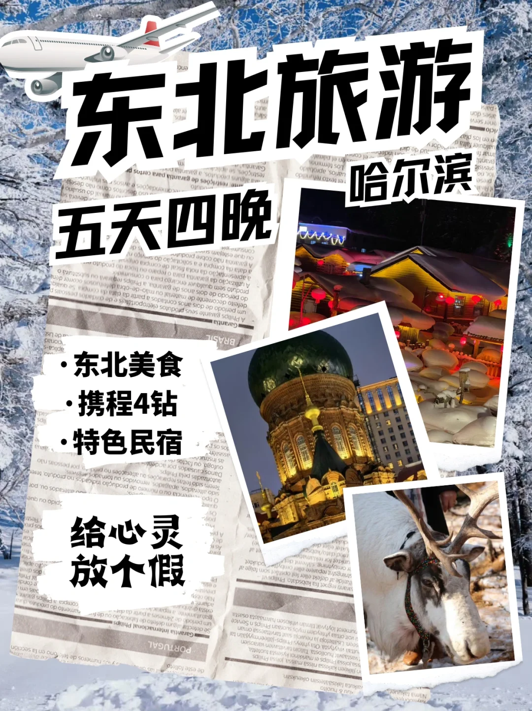 冬季东北｜哈尔滨+亚布力+雪乡⛷️五日