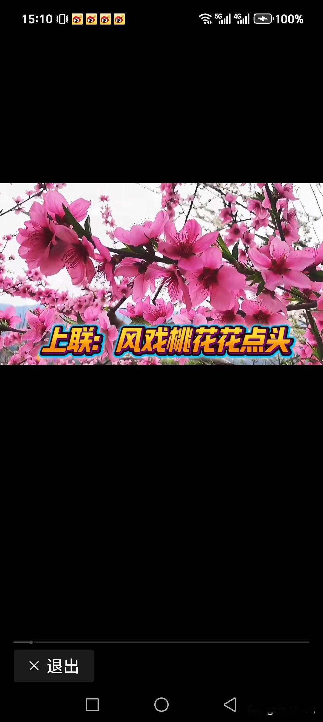 风戏梅花花点头
雨敲荷叶叶滑面