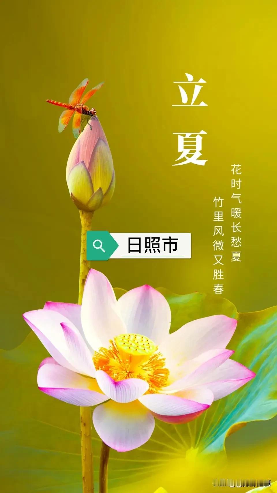 乙巳立夏
2025 05 05
日照刚刚到，
立夏悄悄来。
热天从此始，
荷花自