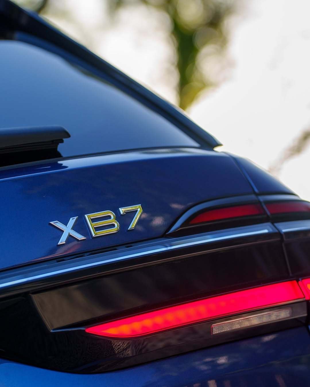 Alpina XB7｜阿尔宾娜 