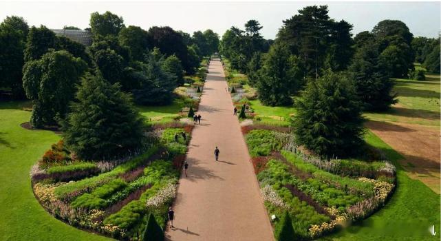 【财富晚茶-今日投资】重磅大鹏：何暴涨1666%触发临停；瞧信雅达：前期双顶企稳