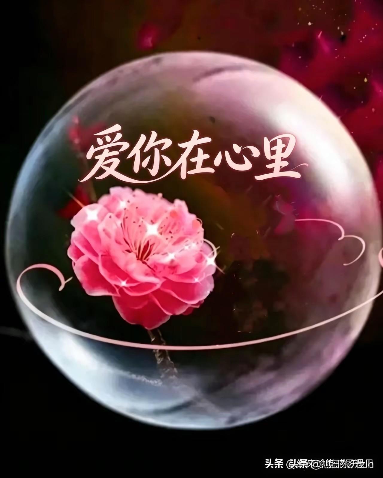 天边的月亮
是你俊俏的脸庞
望着她
心情澎湃荡漾
天边的月亮
我与你遥遥对望
彼