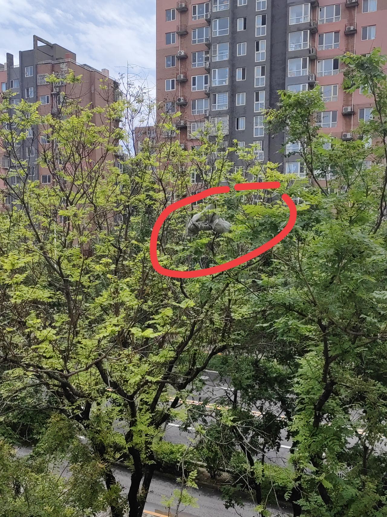 我老公这死男人，真的是老天爷派来气我的，天天都能精准踩中我的雷点，今天更是把“气