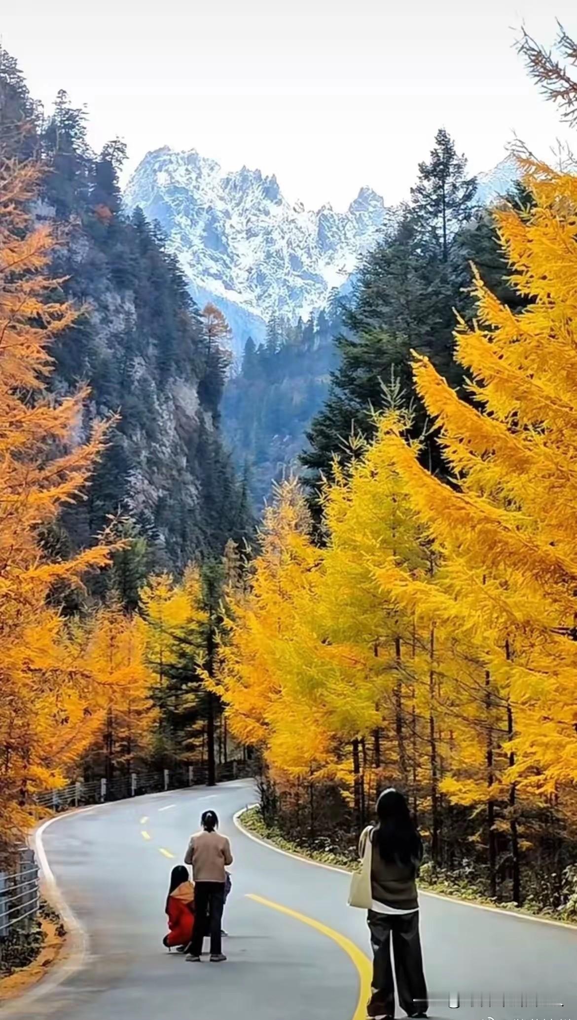 冬日生活打卡季