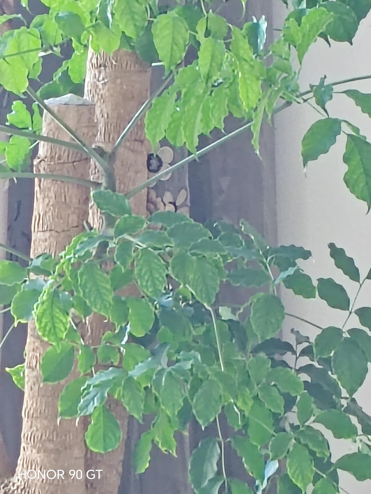 春天花会开，
快乐每一天。