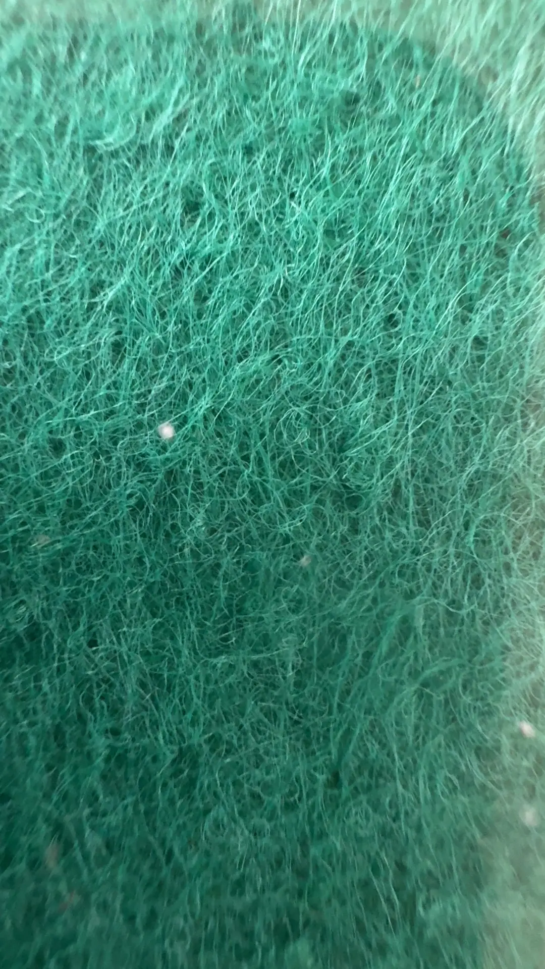 真实户外 记录我的种植生活 干活我是认真的 万万没想到意想不到的结局