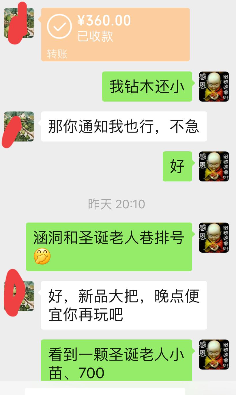 今天又忍不住入手了黑曼扎尼塔、海浪、格兰、黑扎、科里奥普罗旺斯、黑尔这些无花果品