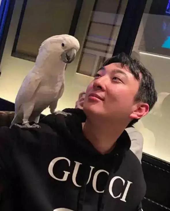 最近网上热议“王思聪突传噩耗，走上父亲王健林老路”，不少人感慨他比汪小菲还惨。但