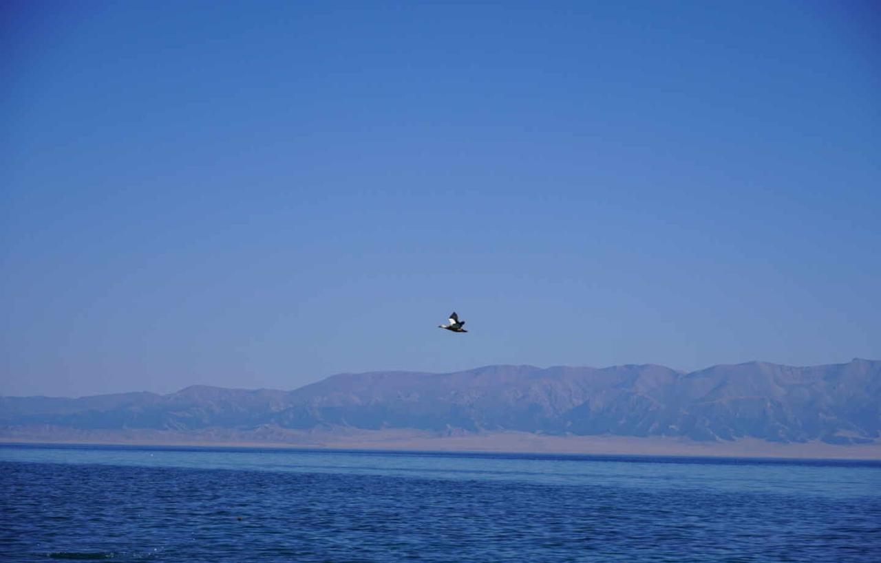 in my imagination赛里木湖
