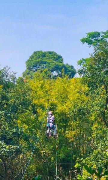 📍佛山 西樵山森吧飞越树上探险乐园
以草木为向导，以风声为伴，在荒野中，遇见不