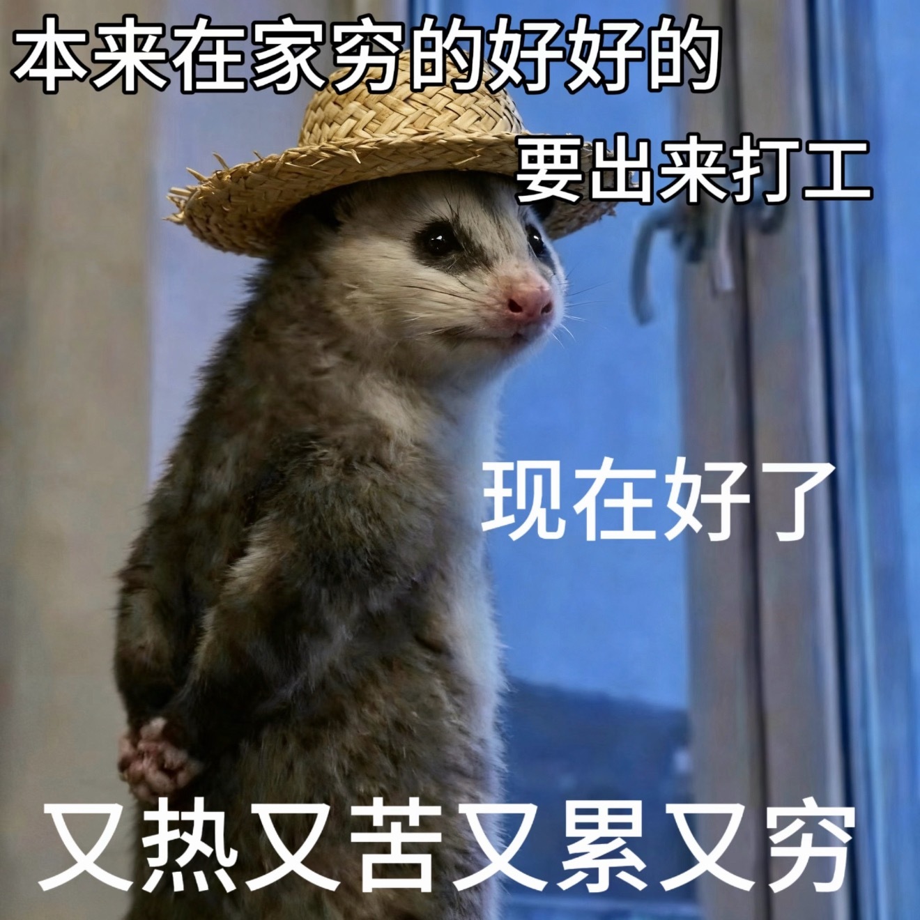 当辞职后以客人的身份回去时那我感觉，至少知道这家店干净才会回去吃吧…如果这家店很