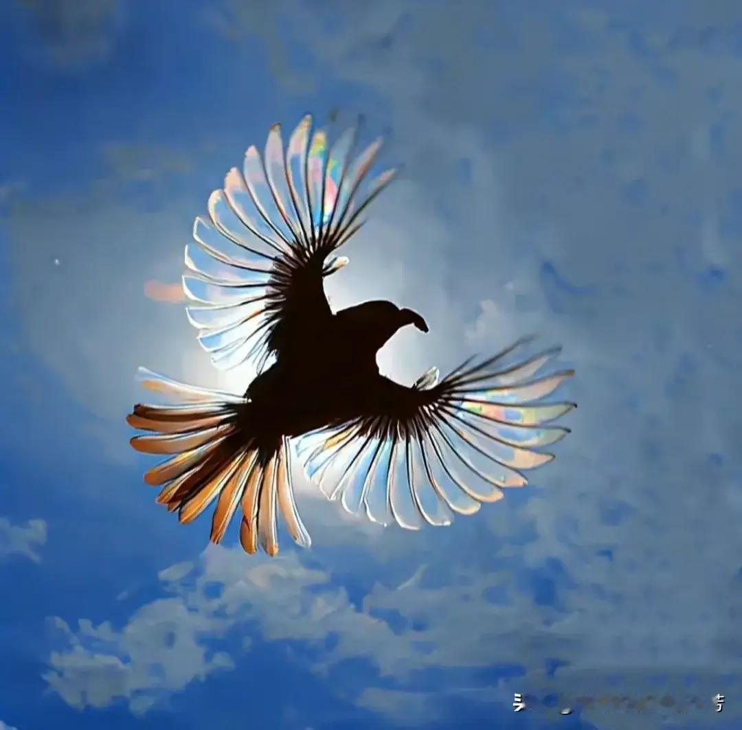 高考都快过去二十年了，有时候还梦到备战高考，该背的没背，该写的没写，紧张得从梦中