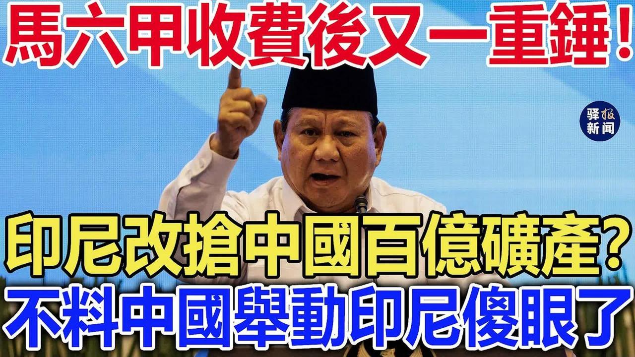 立陶宛、荷兰、巴拿马、澳大利亚、印尼这些国家的行为注定没好果子吃。
就说立陶宛，