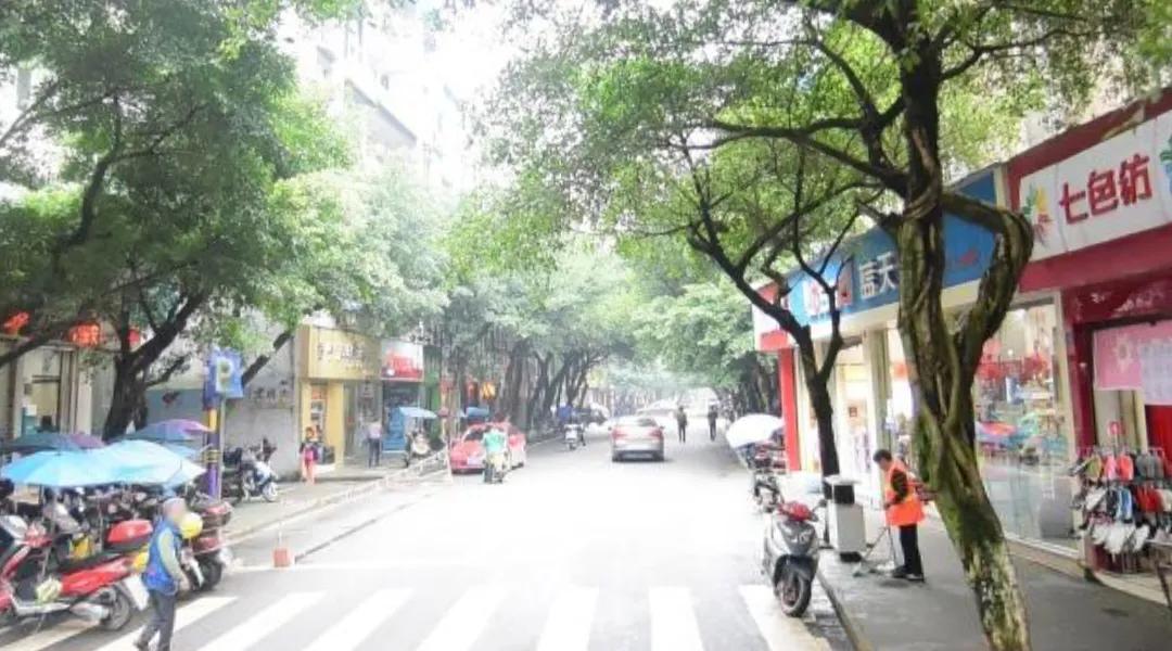 沐川县是四川盆地西南部的一座美丽的城市，是四川省乐山市管辖下的一座县城。沐川县的
