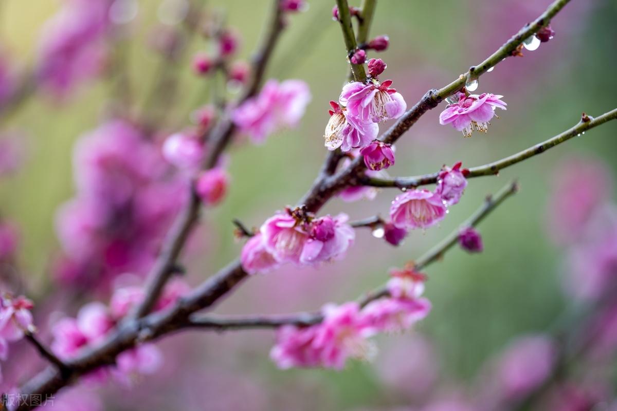 走错了路，要记得回头；看错了人，要懂得放手。谁都不傻，谁也不笨，用眼看人，会走眼