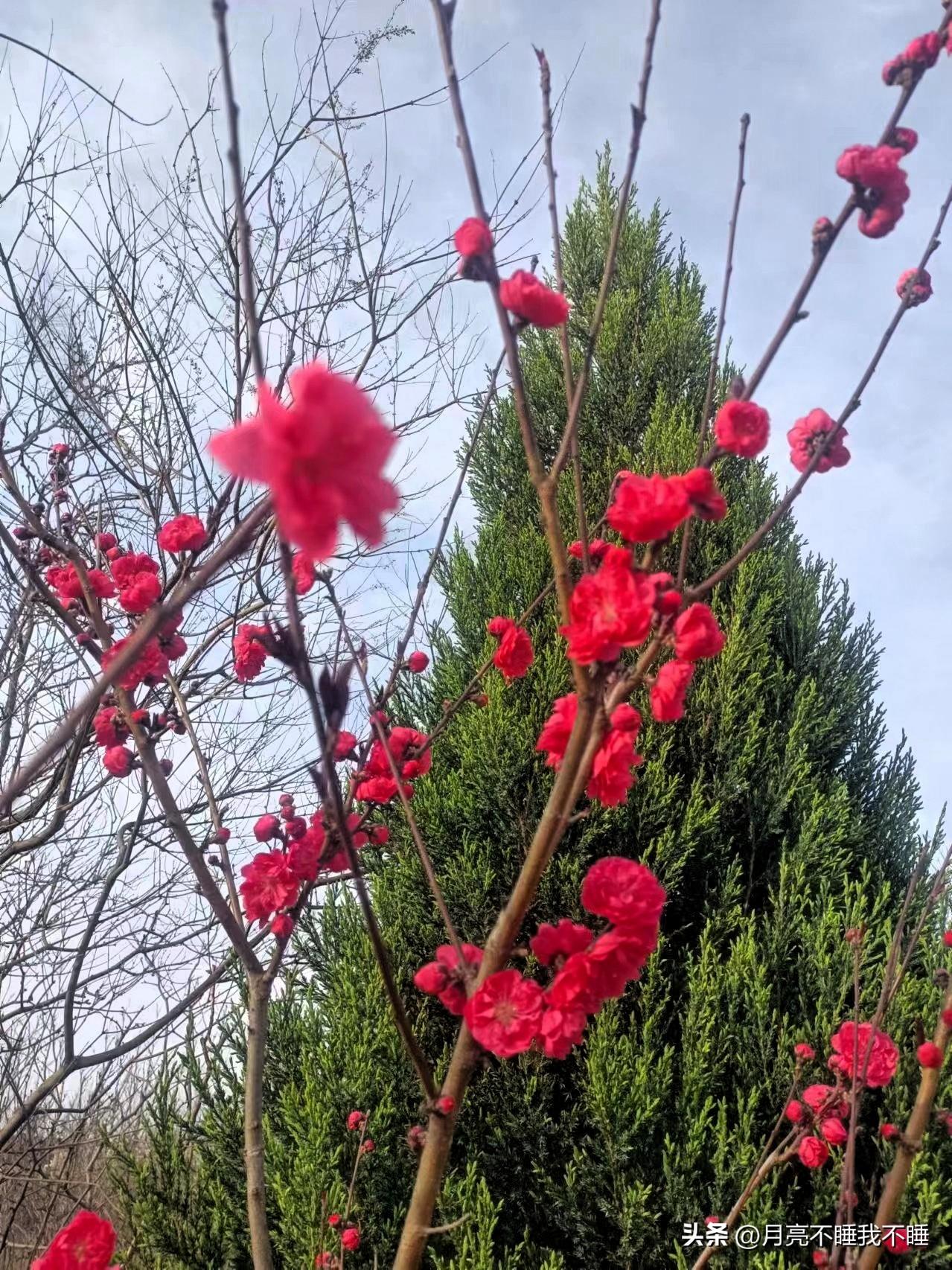 生活中，依靠自己还是依靠别人？靠自己能增强自身能力，遇到问题可独立解决。