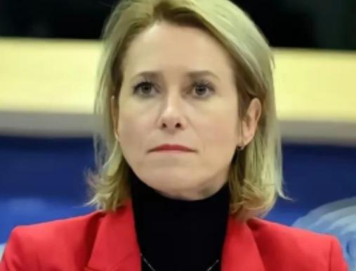 欧盟那帮人开会，有个女议员正唾沫横飞地渲染“中国威胁论”，调子都快起飞了。结果挪