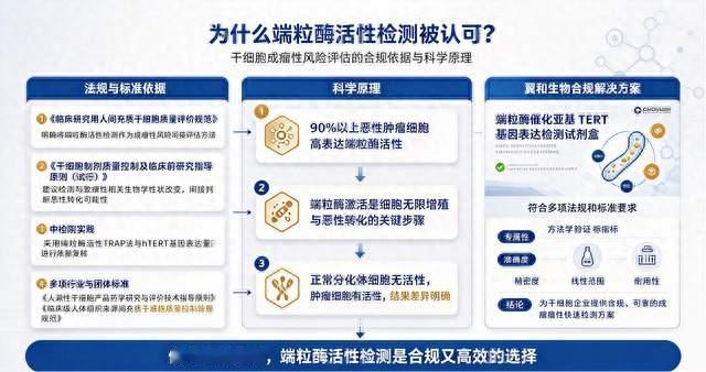 干细胞质控必看：端粒酶活性检测的法规依据