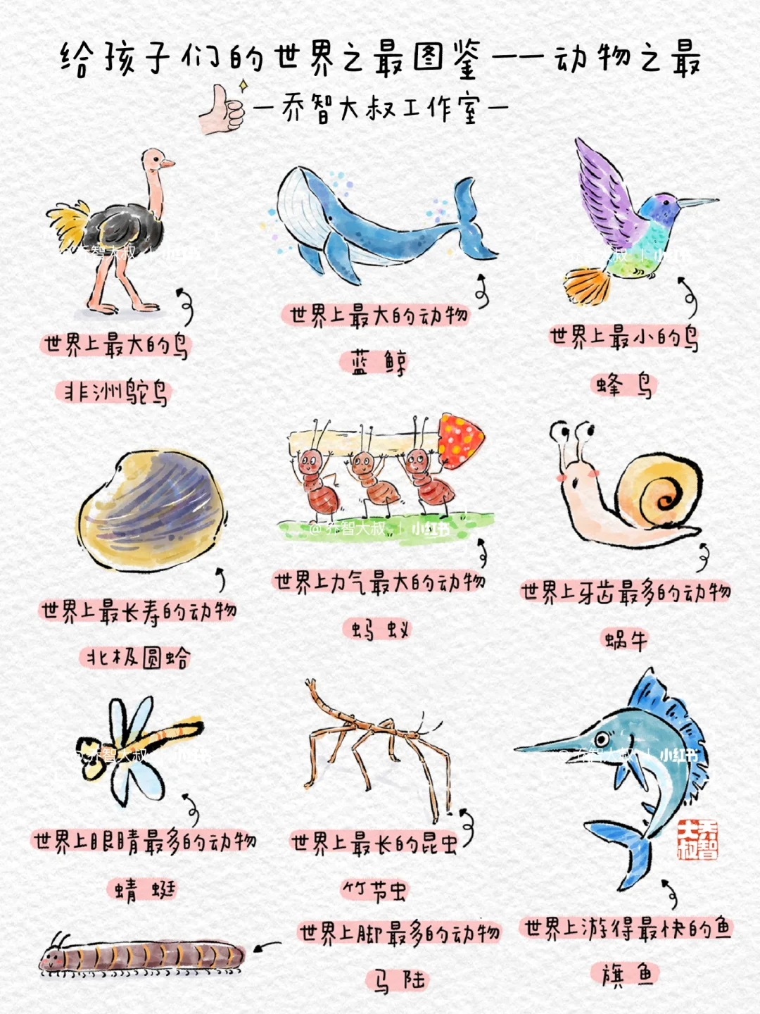 给孩子们的动物之最图鉴