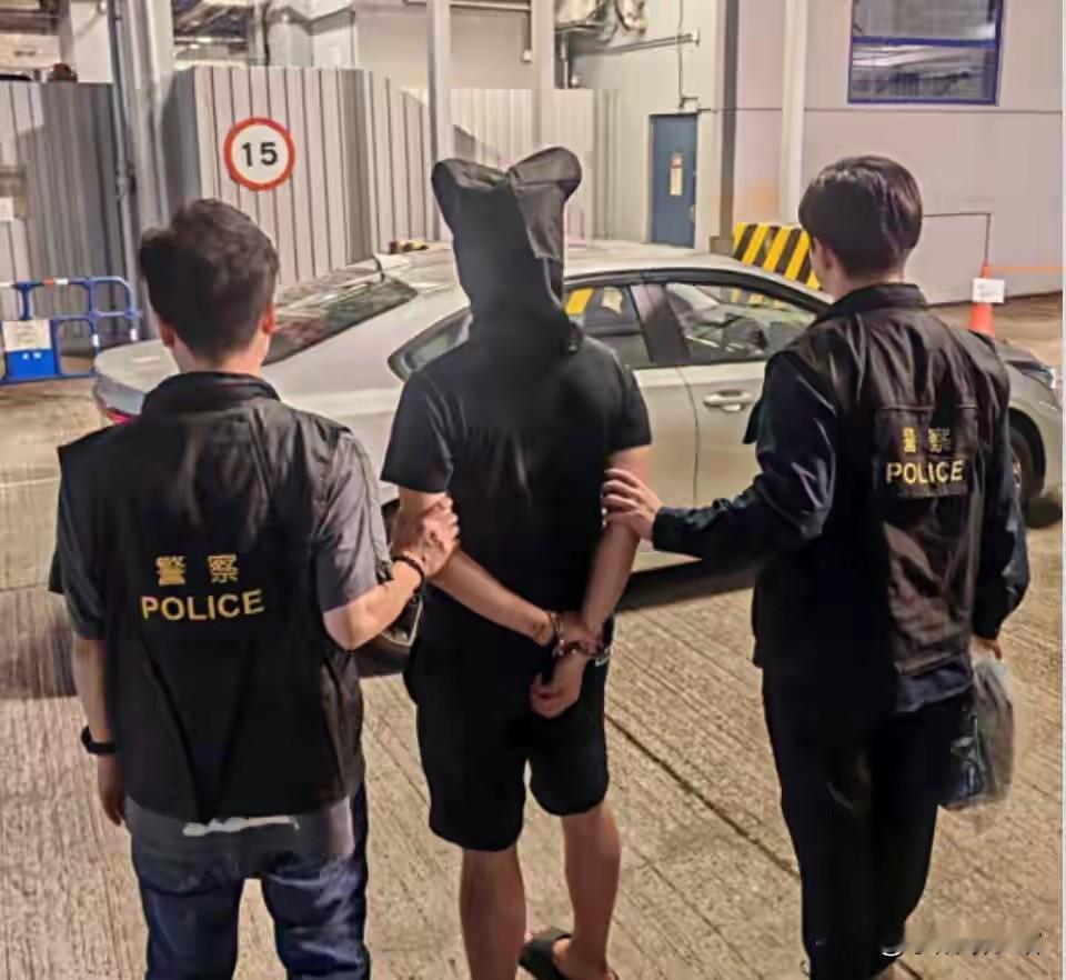 被香港黑帮围殴致死的男子身份曝光，竟是年赚2亿的商界精英！港警启动大规模反黑行动