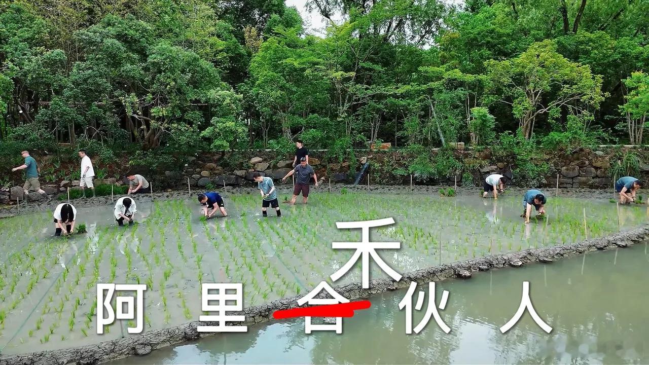 意外！最近阿里的管理层干了一件特别有意思的事儿，不是开会，不是出差，而是十几个人