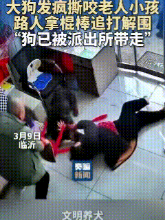 请文明养狗！3月9日，山东临沂，一条没有拴绳的黑色大狗在大街上乱跑，此时此刻它已