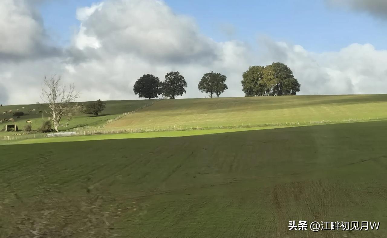 欧洲游日记（8）
早上6:30被定的闹钟叫醒。这是来到欧洲后第一次被动醒来。前面