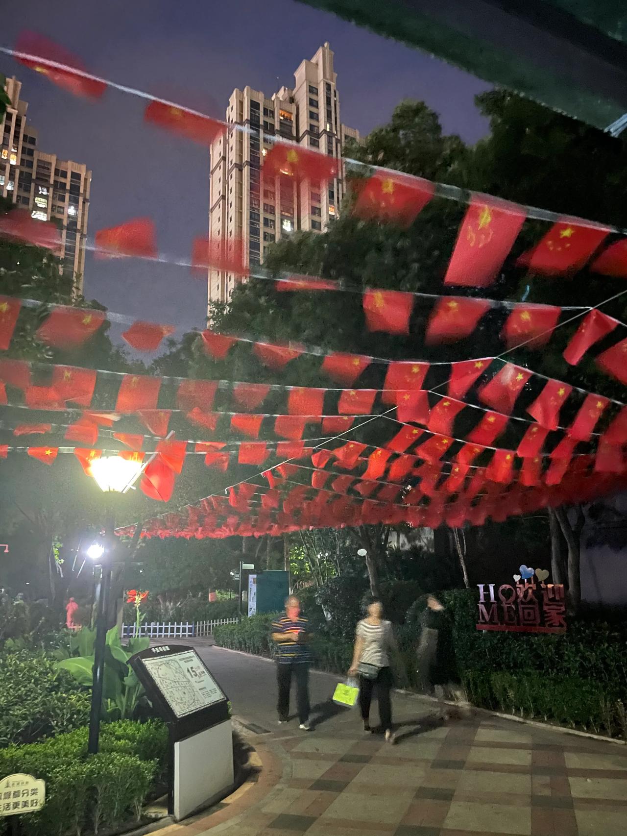 家中安逸
        ——南木子
且看小区红旗飘，
国庆处处皆热闹。
劝君莫