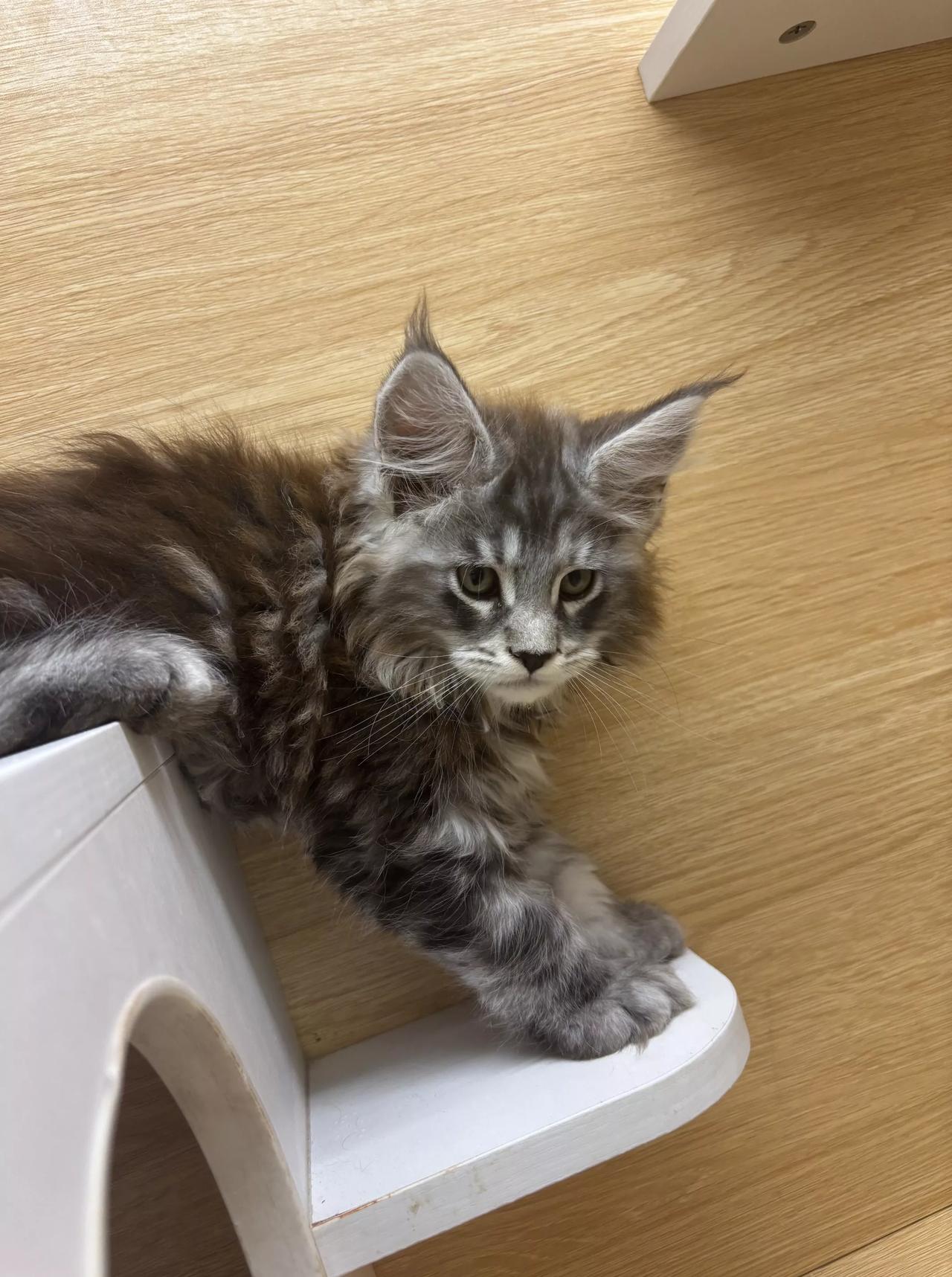 最惨的儿女，并不是天天被父母打骂的儿女。最惨的儿女，其父母在乎外界评价、外人夸孩