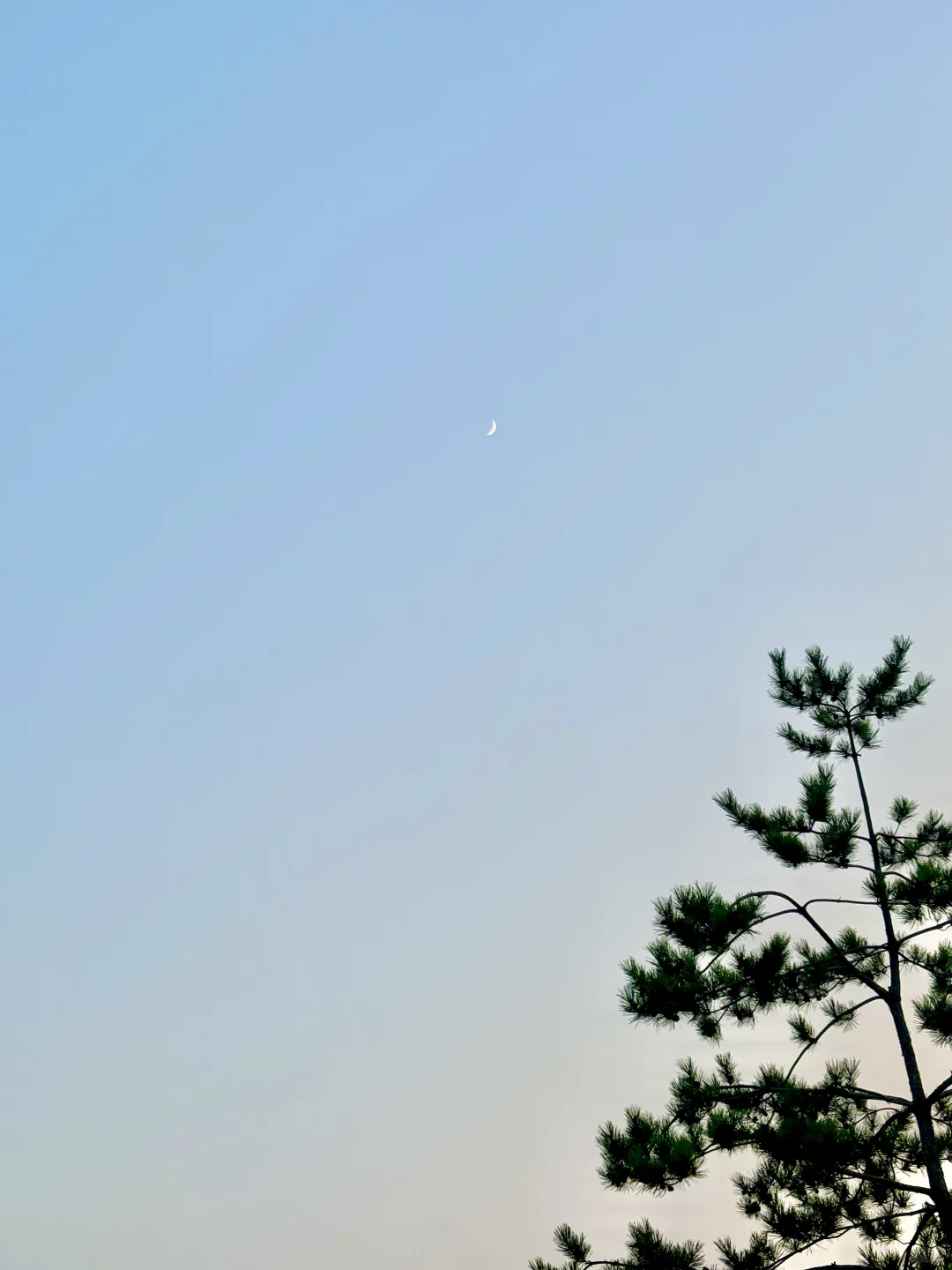 月牙弯弯🌙