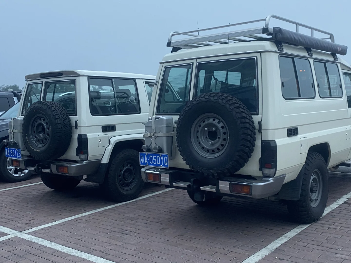只能选其中一辆你会咋选