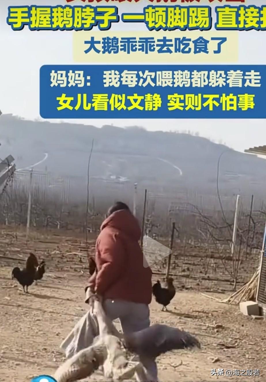 一顿脚踢直接打服