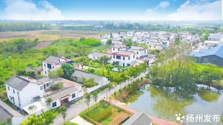 江苏扬州：三个数据看农村环境“三大革命”