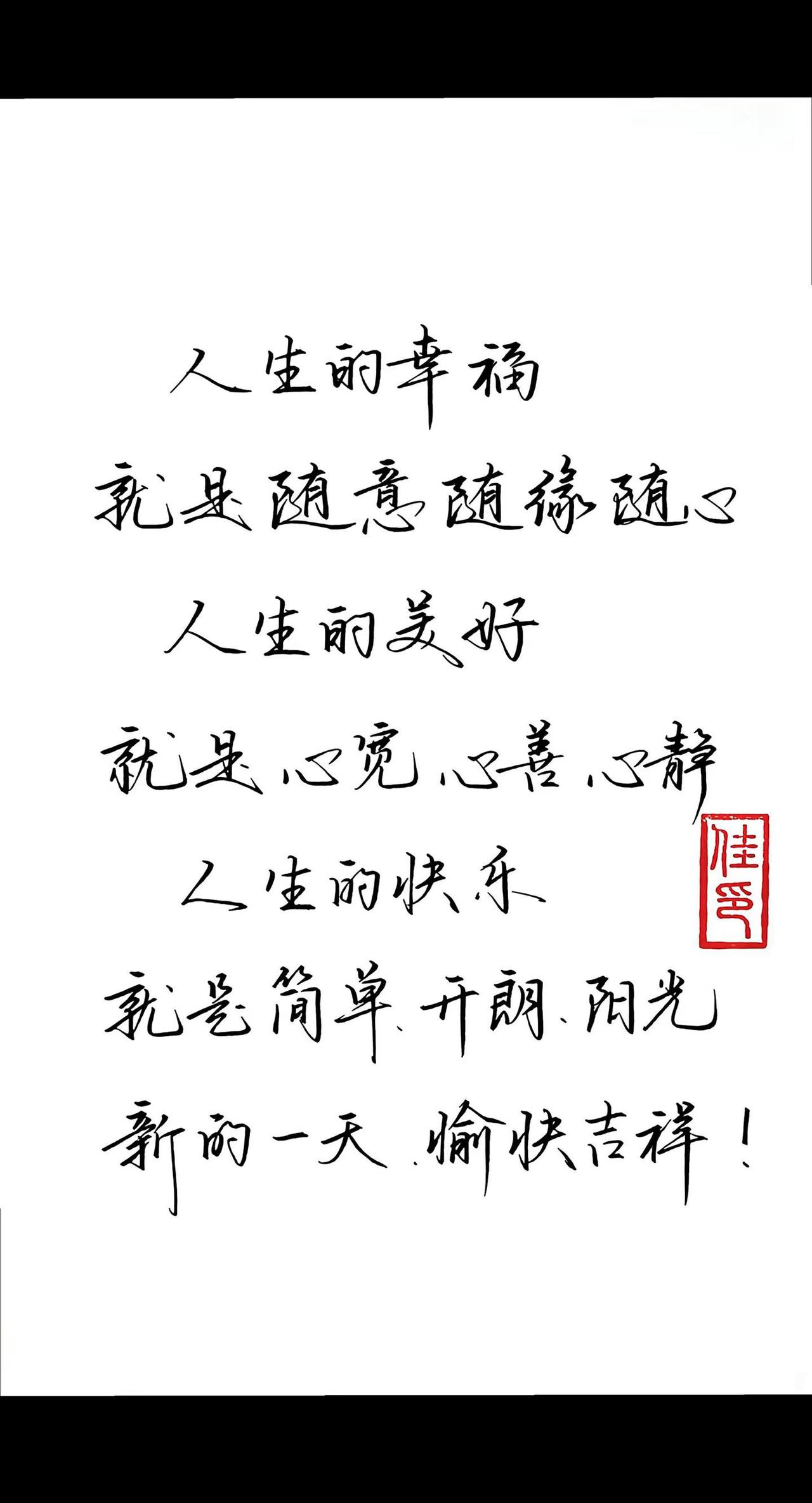 手写  人生感悟 硬笔行书写字是一种生活