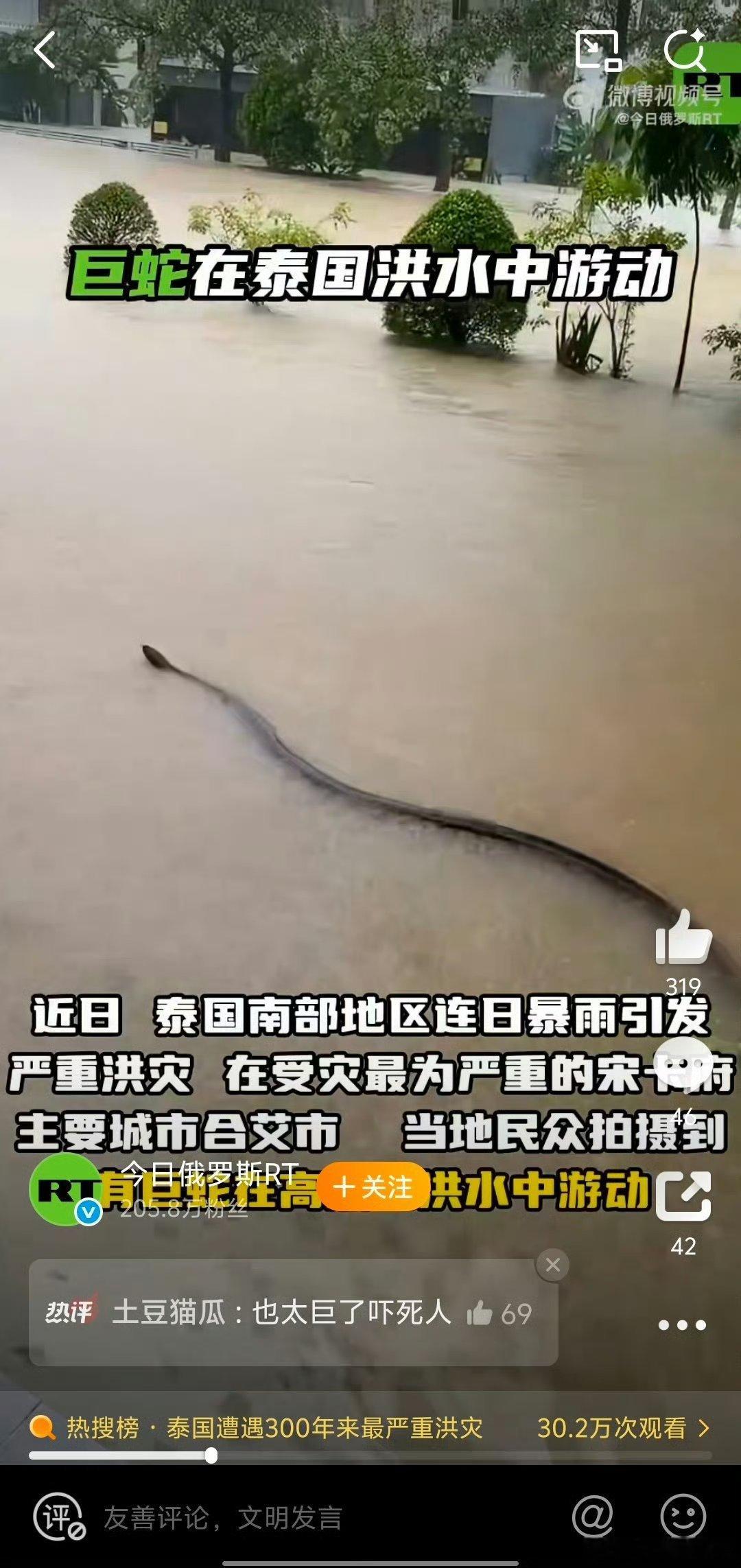 巨蛇在泰国洪水中游动我天！！！！！这也太大了吧？？！！！娜迦？？？ 