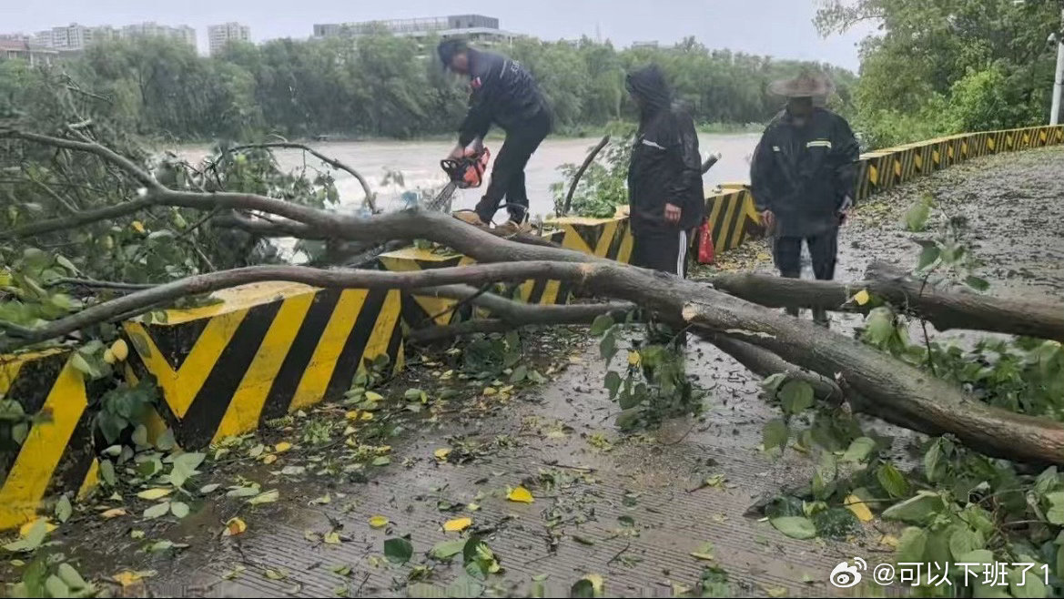 台州这支救援队从凌晨锯到白昼抢通道路全身湿透、双脚泡胀依旧不停歇，致敬风雨里逆行