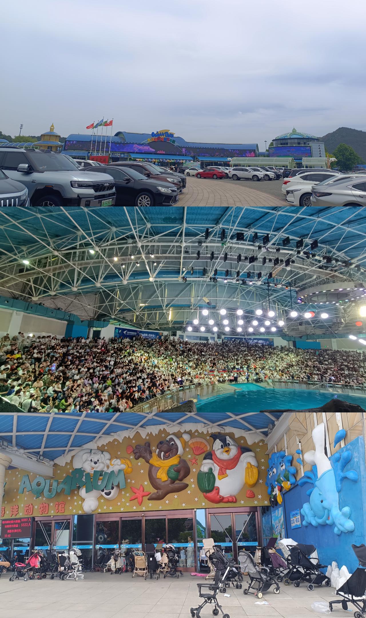感受一下今天的人山人海！
因为要去超市买明天春游的零食，昨天又在外面晃悠11个小