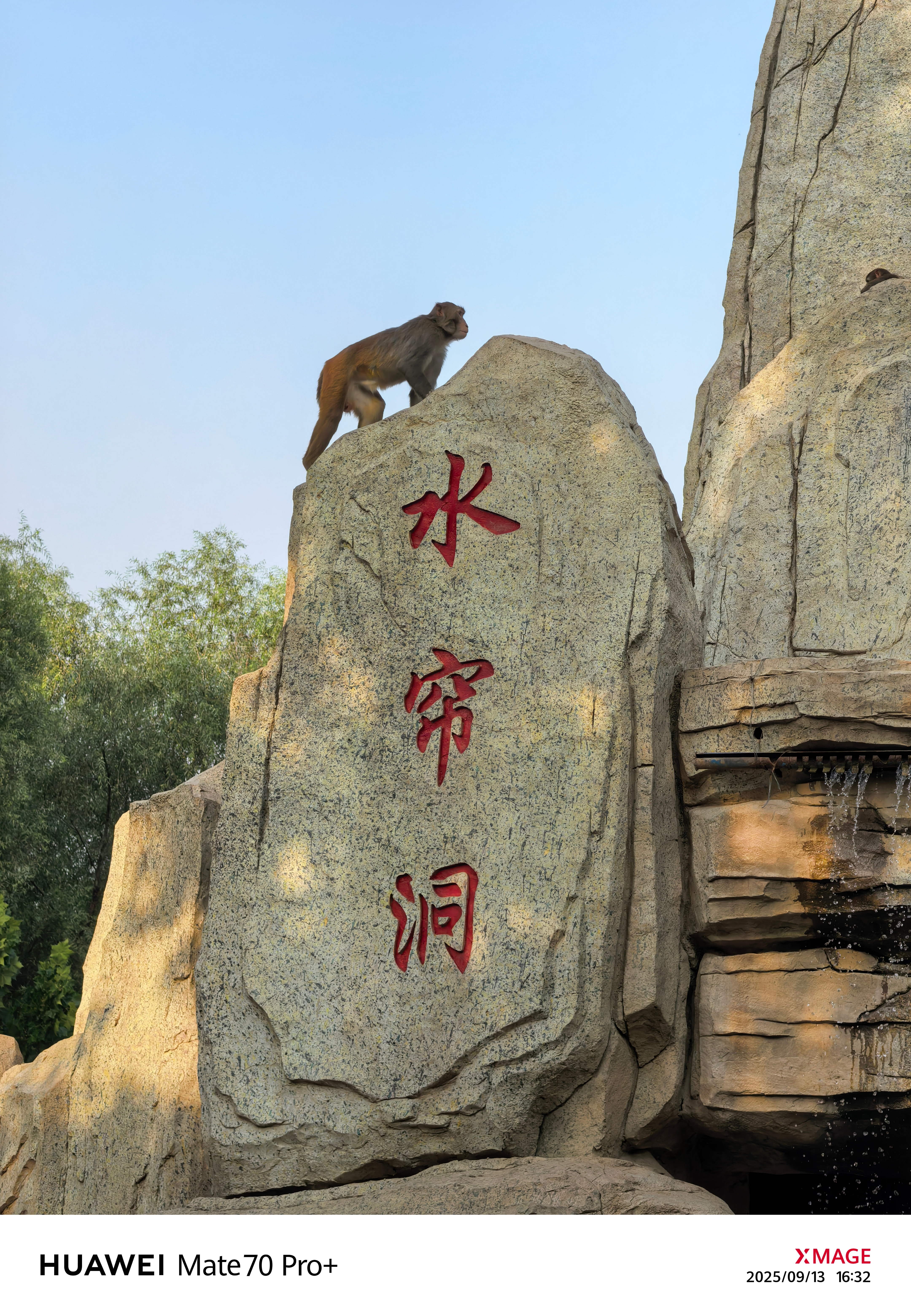 不得不说，猴子是真灵活[yeah] ​​​