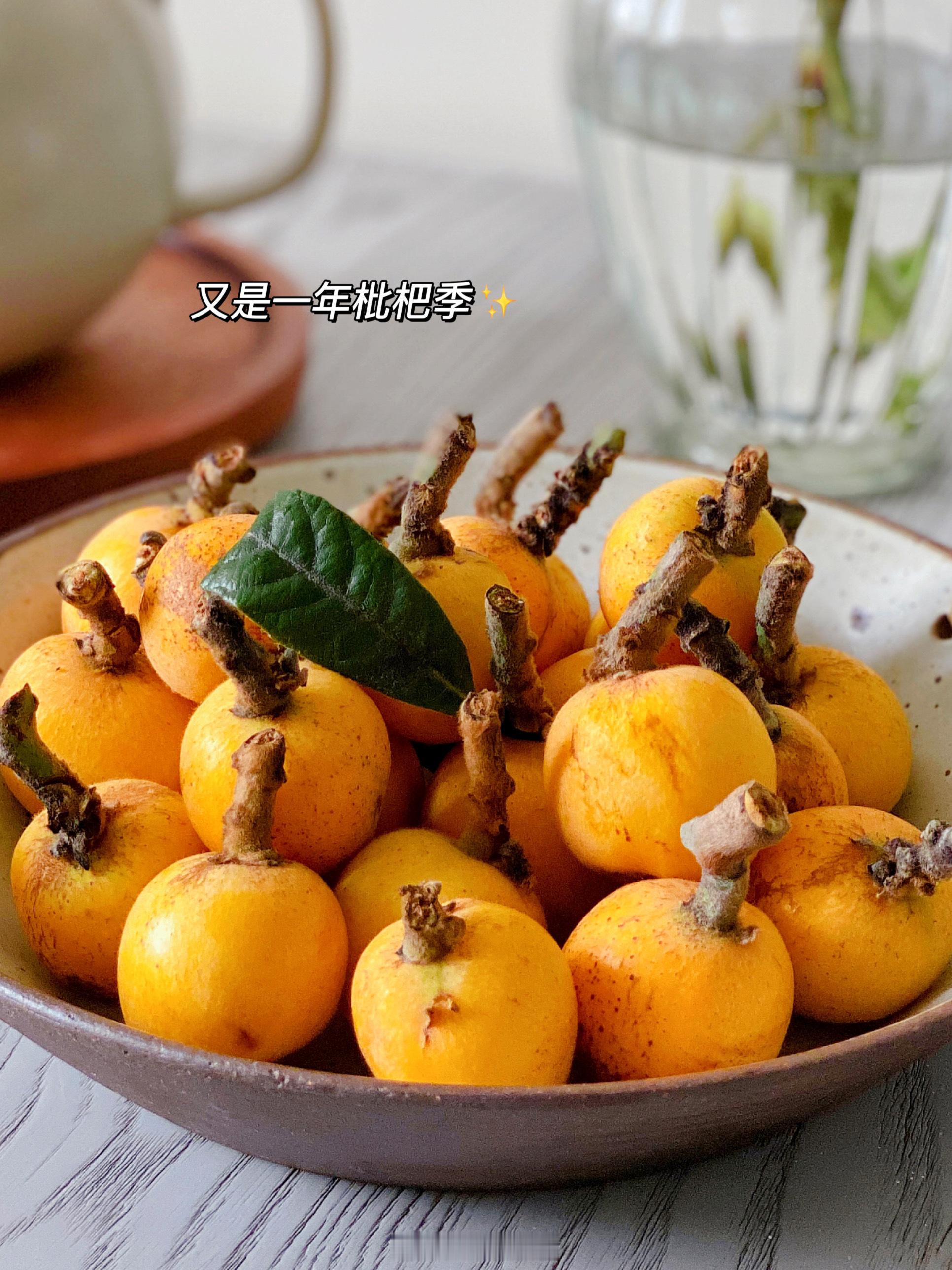 #日常# 多姿多彩的五月生活记录📝发现养了小宠物之后，能辅助帮忙减脂瘦身，还一