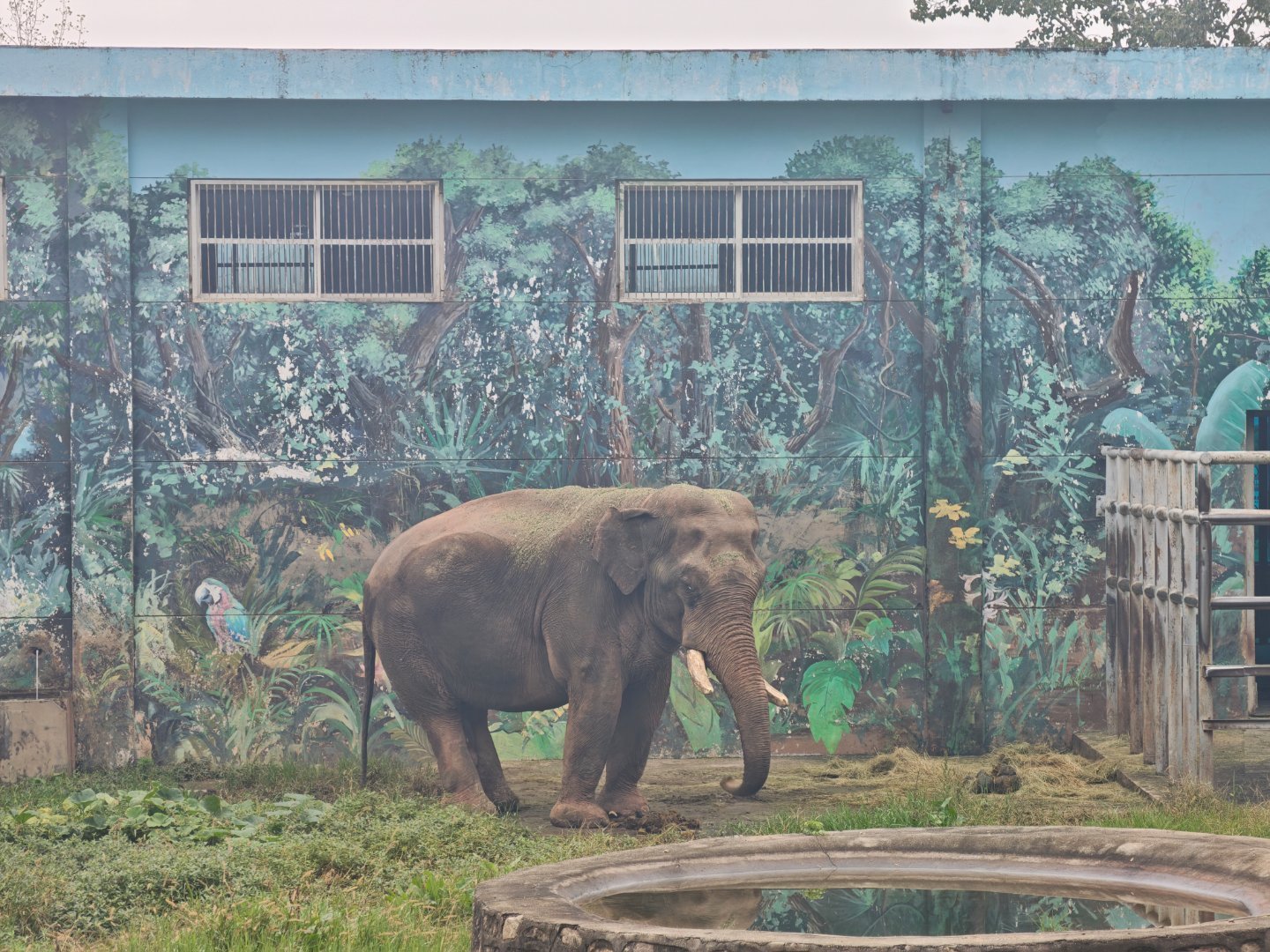 逆光之王差强人意。 ​​​