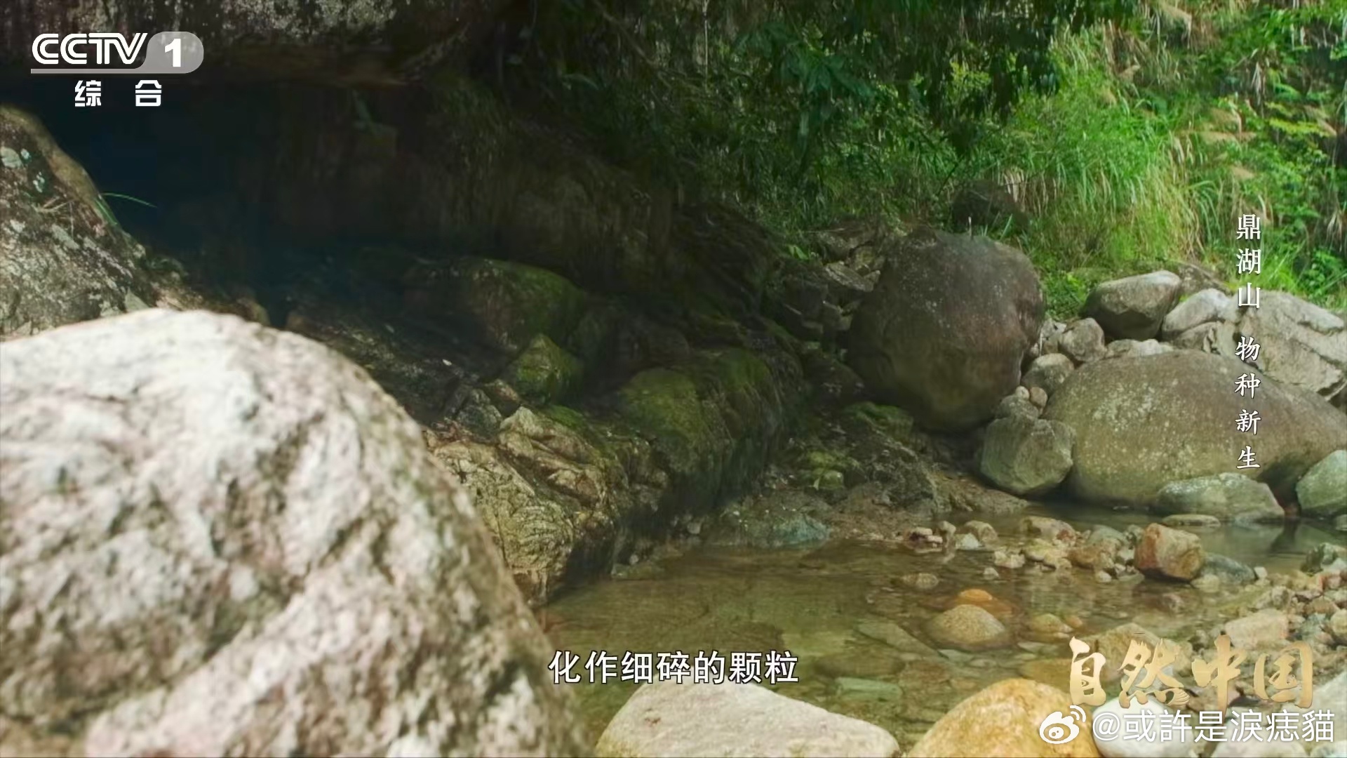 土壤的土腥味从何而来 你知道土壤里的矿物质是怎么来的吗？裸露的岩石历经风吹日晒、