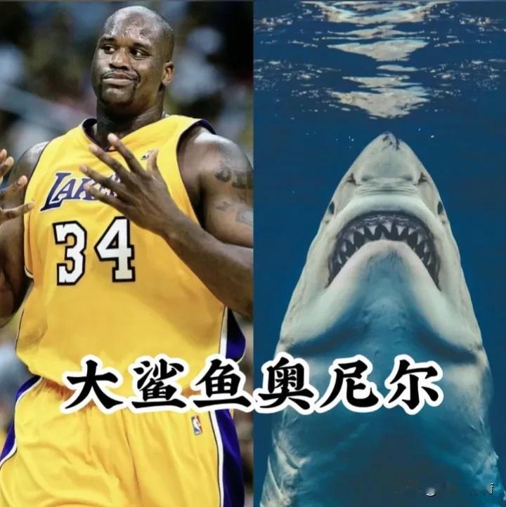 NBA球员那些离奇古怪的绰号！（2-2）
问：你认为谁的绰号最霸气？