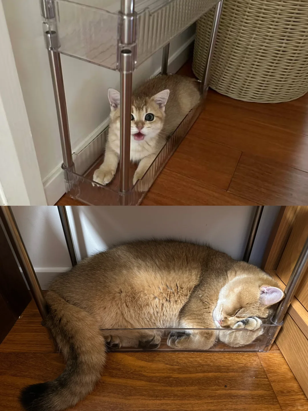 一不小心就长大了