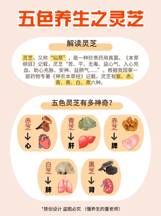 五色养生之仙草护体指南 ✅