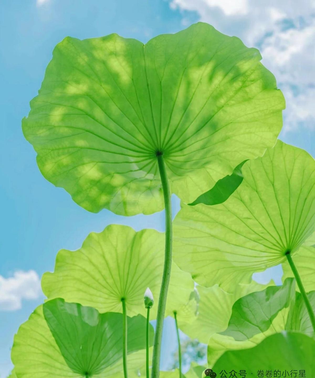 月薪5500敢直接存下3000，这对自己得有多狠？
好多人还在哭诉月光，人家这存